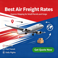 Agent de logistique porte-à-porte professionnel, agent d'expédition aérienne ZS LOGISTICS, service de fret aérien DDP, assurance pour les envois Amazon FBA