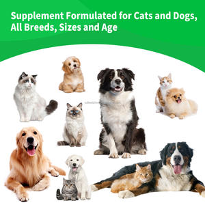 Polvo Dental para Perros y Gatos, Cuidado Bucal, Mejora la Salud de los Dientes y las Encías, Refresca el <span class=keywords><strong>Aliento</strong></span> con Probióticos y Té Verde, Seguro - Product Image 5