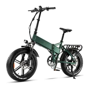 Ebay Hot Sell electric bike 750W 48V 13AH Electric road bike urban electric bicycle 20x4"fat e bike