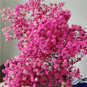Fleurs séchées de gypsophile multicolores, fleurs séchées naturelles - Product Image 3
