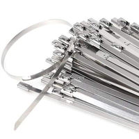 Haitai Großhandel Fabrik preis Kabelbinder 4x100mm Self Lock Metall Reiß verschluss Ss 304 Kabelbinder Edelstahl