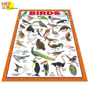 Venta caliente cartel de enseñanza alfabeto frutas verduras niños juguetes educativos gráficos de pared - Product Image 1