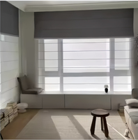 Persianas romanas dobles modernas, tela blanca transparente personalizada, característica opaca, cortinas integradas fáciles para sala de estar, plástico Horizontal