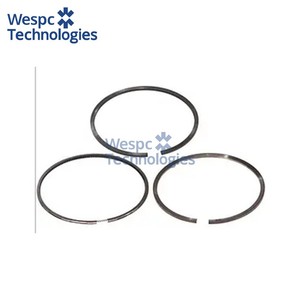 Jeu de segments de piston WESPC 4181A101 pour moteur diesel Perkins série 700 704.26 704.30, machines agricoles, générateurs, engins de construction - Product Image 2