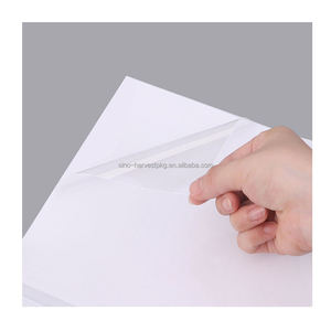 Vente en gros de haute qualité Nouveau Forget Mat Supports de stratification à froid Logo personnalisé adapté à la protection des photos - Product Image 2