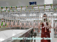 Machine d'échaudage industrielle intelligente à température constante pour volailles (poulets, canards) SUS304 3000BPH pour abattoir