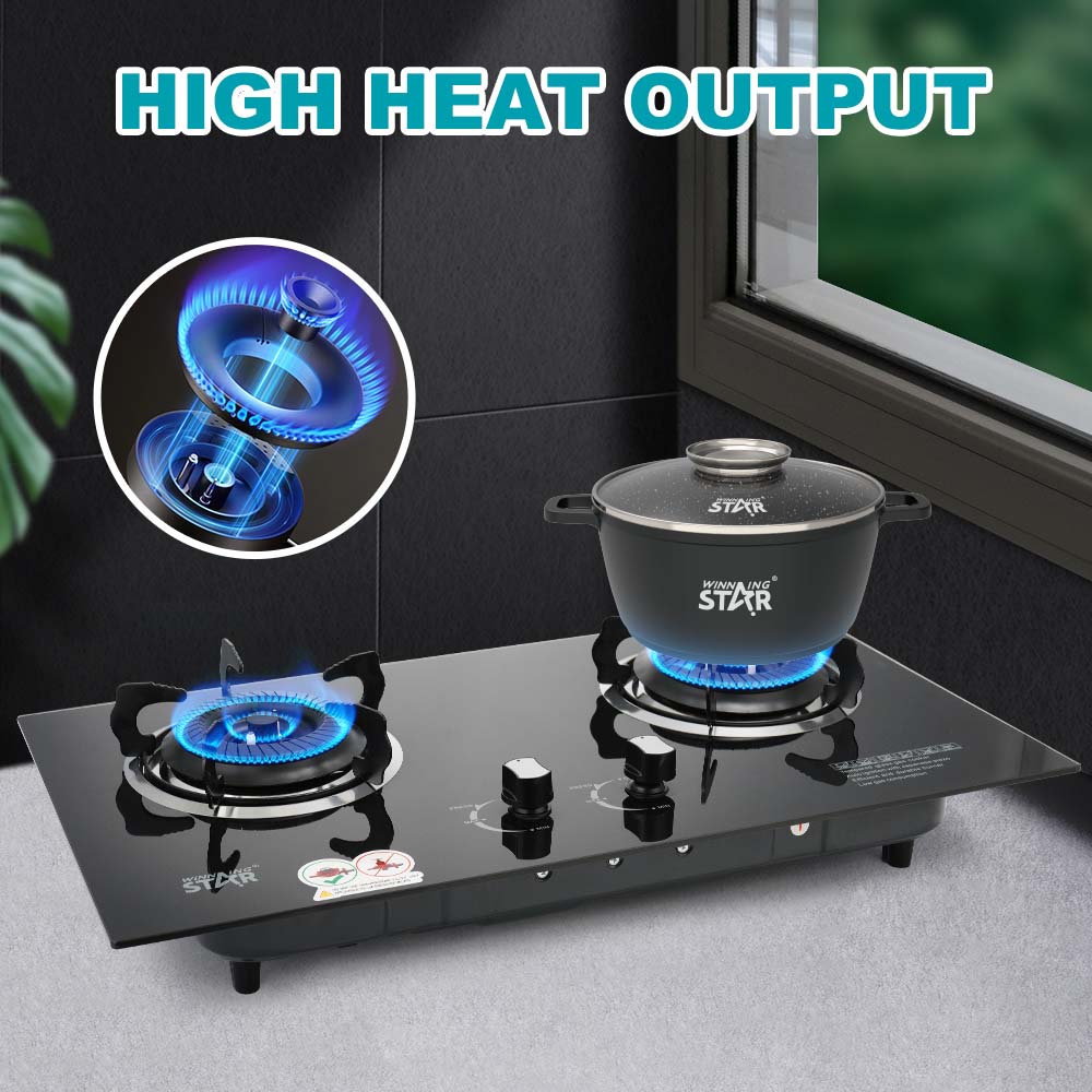 X BURNER ゴールドエディション WSB 2枚セット Brewer's Edge® Series 2 Mash & Boil With Pump