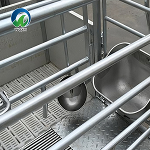 Attrezzatura per Allevamento Suino Stile Europeo Gabbia per Scrofe e Cassa da Parto in Plastica e Acciaio Resistente Nuova o Usata per Suini - Product Image 6