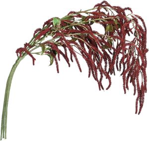 Vente en gros de feuillage artificiel en mousse Amaranthus, 5 couleurs, 8 branches, pour mariage, remise de diplôme, Nouvel An, Noël - Product Image 6