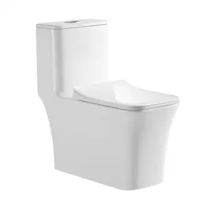 Popular OEM S-trap siphonic one piece water closet for bathroom ceramic