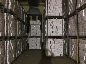 Cina nuovo raccolto di verdure biologiche fresche all'ingrosso cinese carot/carota <span class=keywords><strong>carote</strong></span> <span class=keywords><strong>semi</strong></span> in massa prezzo fresco <span class=keywords><strong>per</strong></span> l'esportazione - Product Image 6