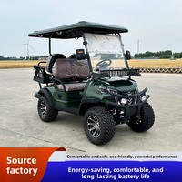 Voiturette de golf électrique 2 places tout-terrain de luxe, 30 km/h, 48 V, directement de l'usine, pour patrouille et tourisme en sites touristiques