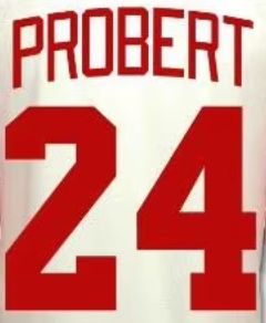 Camisetas de Hockey de Equipos Estadounidenses Cosidas, Detroit 24 Probert, 39 Mantha, 53 Moritz Seider, 57 Perro, 59 Bertuzzi, 71 Dylan Larkin - Product Image 4