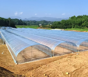 <span class=keywords><strong>Serre</strong></span> <span class=keywords><strong>tunnel</strong></span> agricole à structure <span class=keywords><strong>solide</strong></span> et faible coût pour fraises, en film plastique à simple travée - Product Image 3