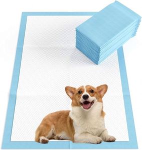 แผ่นรองซับฉี่สำหรับสุนัข HengPai Pet Training and Puppy Pads แผ่นฝึกขับถ่ายสำหรับลูกสุนัข ดูดซับดีเยี่ยม ดีไซน์ 6 ชั้น - Product Image 1