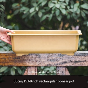 <span class=keywords><strong>Maceta</strong></span> de <span class=keywords><strong>entrenamiento</strong></span> de bonsái Rectangular clásica de plástico de 50cm/19,68 pulgadas para bonsái de árbol - Product Image 6
