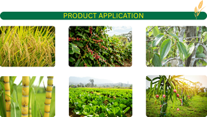 AGRILONG Technologie Haute Puissance NPK 15-5-18 Granulaire à Libération Rapide Favorise le Développement des Fruits Service OEM - Product Image 3
