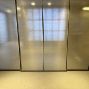 Système <span class=keywords><strong>de</strong></span> Portes Commerciales Automatiques Coulissantes à Bas <span class=keywords><strong>Prix</strong></span> avec Ouvre-Porte en Verre pour Hôtel - Product Image 6