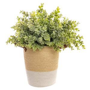 Oferta Especial: Ramas Clásicas de Eucalipto Artificial con 6 Ramificaciones y Hojas Verdes, Otras Flores y Plantas - Product Image 1