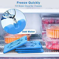 Bac de glace congélateur non toxique en brique de glace de qualité alimentaire PE mince réutilisable en gros pour boîtes de vin Boîte à lunch