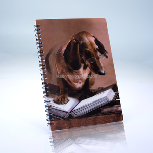 Couverture de livre lenticulaire personnalisée, couvertures de bandes dessinées 3D, image d'anime en 3D, impression lenticulaire 3D - Product Image 2