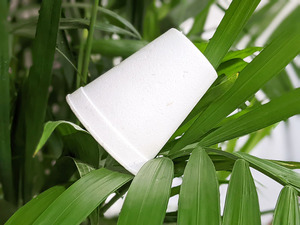 EPS cốc <span class=keywords><strong>s</strong></span>ữa dây chuyền <span class=keywords><strong>s</strong></span>ản xuất cốc nhựa đúc cốc EPS Máy xốp - Product Image 6