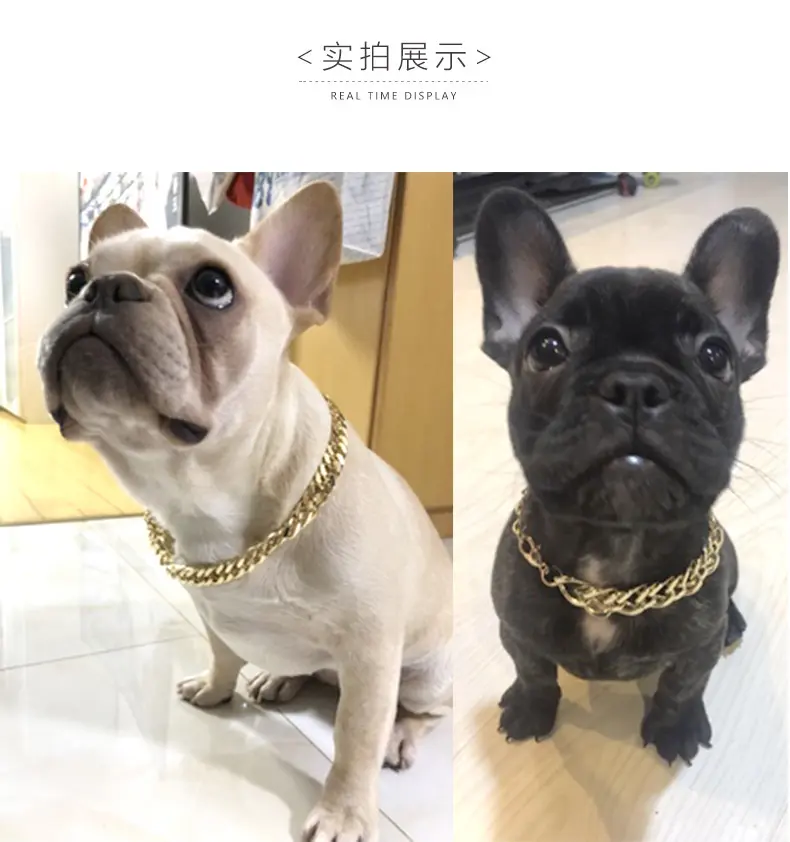 Toptan moda Pet köpek kolye yaka kalın uv altın hiçbir solmaya zincir tespit emniyet halkası köpek Pet aksesuarları için köpek