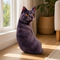 Coussin en peluche personnalisé Ugly Cat, coussin pour animaux de compagnie imprimé avec photo, coussin décoratif doux à faire soi-même, rembourrage en coton PP, décoration intérieure