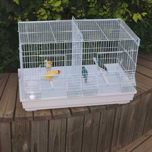 Jaula de Cría para Pájaros Portátil de Metal Blanco Dayang Estilo Moderno con Patrón Sólido y Separador de Seda de Jade Construcción en Hierro - Product Image 2