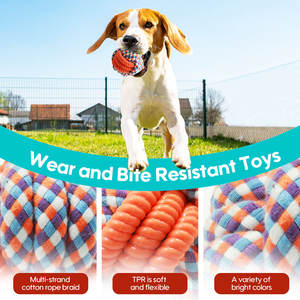 En popüler tüm satış TPR pamuk halat köpek topu oyuncaklar dayanıklı köpek topu oyuncak yüksek kalite çiğnemek pet oyuncaklar top - Product Image 4