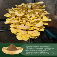 AMULYN Poudre d'huître séchée de qualité alimentaire pour champignons L-ergothionéine