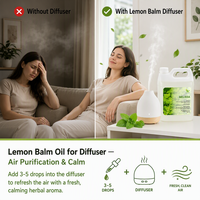 Huile essentielle de mélisse citronnée WY, distillée à la vapeur, pour l'aromathérapie, les soins de la peau, la fabrication de parfums et de bougies, vente en gros