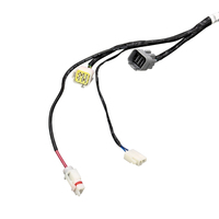Arnés de Cableado para Modificación de Motor de Automóvil Personalizado con Certificación TS16949, con Conductor de Cobre Estañado y Aislamiento de PVC