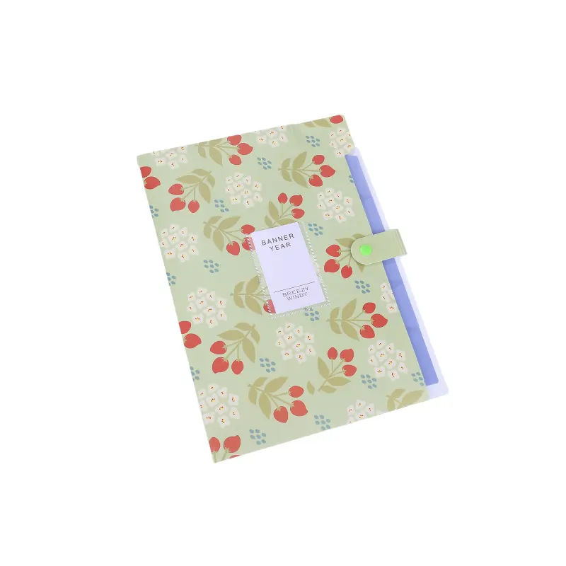 A4 Plastic PP Document Bag Folder with Snap Button