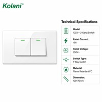 Placa de Control de Luz de Montaje Oculto Kolani 120 de Doble Módulo, Interruptor de Pared con Indicador LED Verde de Dos Botones, Panel de PC Blanco Brillante