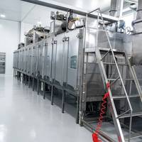 Machine de torréfaction à bande continue en acier inoxydable pour arachides, noix, amandes, noix de cajou – Ligne de traitement