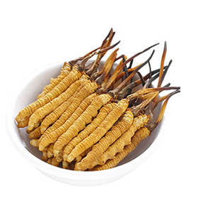 Poudre d'extrait de Cordyceps sinensis entier de haute qualité <span class=keywords><strong>acheter</strong></span> cordyceps sinensis - Product Image 3