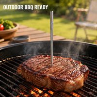Termometer BBQ Nirkabel Pintar Kontrol Suhu Presisi 0.5C LCD Baja Tahan Karat Food Grade IP68 OEM ODM Kontrol Aplikasi Pintar