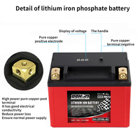 Baterai Lithium Sepeda Motor LifePO4 12.8V 12AH CCA650A LFP19BL-BS untuk ATV Scooter Dirt Bike
