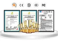 Turnkey NFC Mango Puree Productielijn Complete Mango Pulp Verwerkingsinstallatie Vers Fruit Vermaal- en Sapmachine