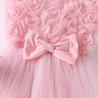 Nouvelle Robe de Princesse pour Filles Été 2026, Couleurs Estivales, Appliqués Mignons, Nœud Papillon Rose 3D, Tulle, Fleurs Rayées, Robe de Cérémonie et de Spectacle