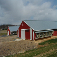 Bâtiment d'élevage avicole en structure acier sur mesure, poulailler préfabriqué, ventilé, isolé, résistant au vent, durable, facile d'entretien