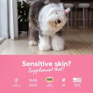 Suplemento para la Piel y el Pelaje de Perros de Marca Privada OEM/ODM con Colágeno, Biotina y Vitamina C que Ayuda a Mantener una Piel Normal - Product Image 5