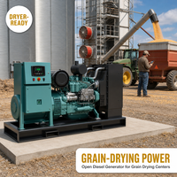Générateur diesel à moteur Weichai et Yuchai, type ouvert, 50 kVA, 200 kVA, monophasé, triphasé, 60 Hz