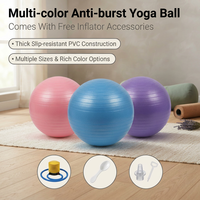 Palla da Yoga in PVC Anti-Scoppio, Spessa e Luminosa, per Pilates, Allenamento dell'Equilibrio, Uso Domestico e in Studio Fitness