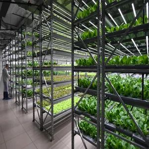 ระบบการทำฟาร์มในร่ม,LF-04 Techygro,ระบบ Hydroponic แนวตั้ง,Leafygreen,ผักกาดหอมและผักเติบโต