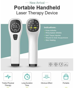 LLLT láser frío fisioterapia 650nm 808nm dispositivo de terapia láser terapéutico portátil láser para caballos perros humanos - Product Image 3