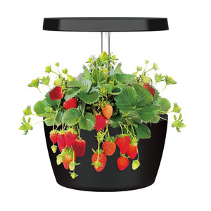 Sistema inteligente de jardín hidropónico LED para interiores, planta de forma redonda, cultivo hidropónico para uso doméstico - Product Image 2