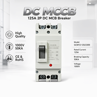 Disjoncteur à boîtier moulé (MCCB) 2P 125A DC 1000V solaire 50kA CE IEC60947-2