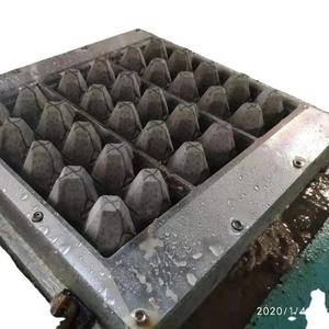 Bandejas de huevos de papel de pulpa molde de la placa de papel fabricación de moldes - Product Image 6